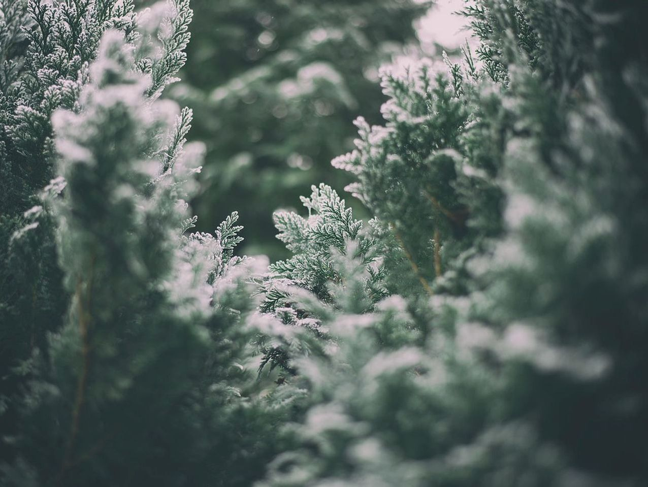 A long water stop