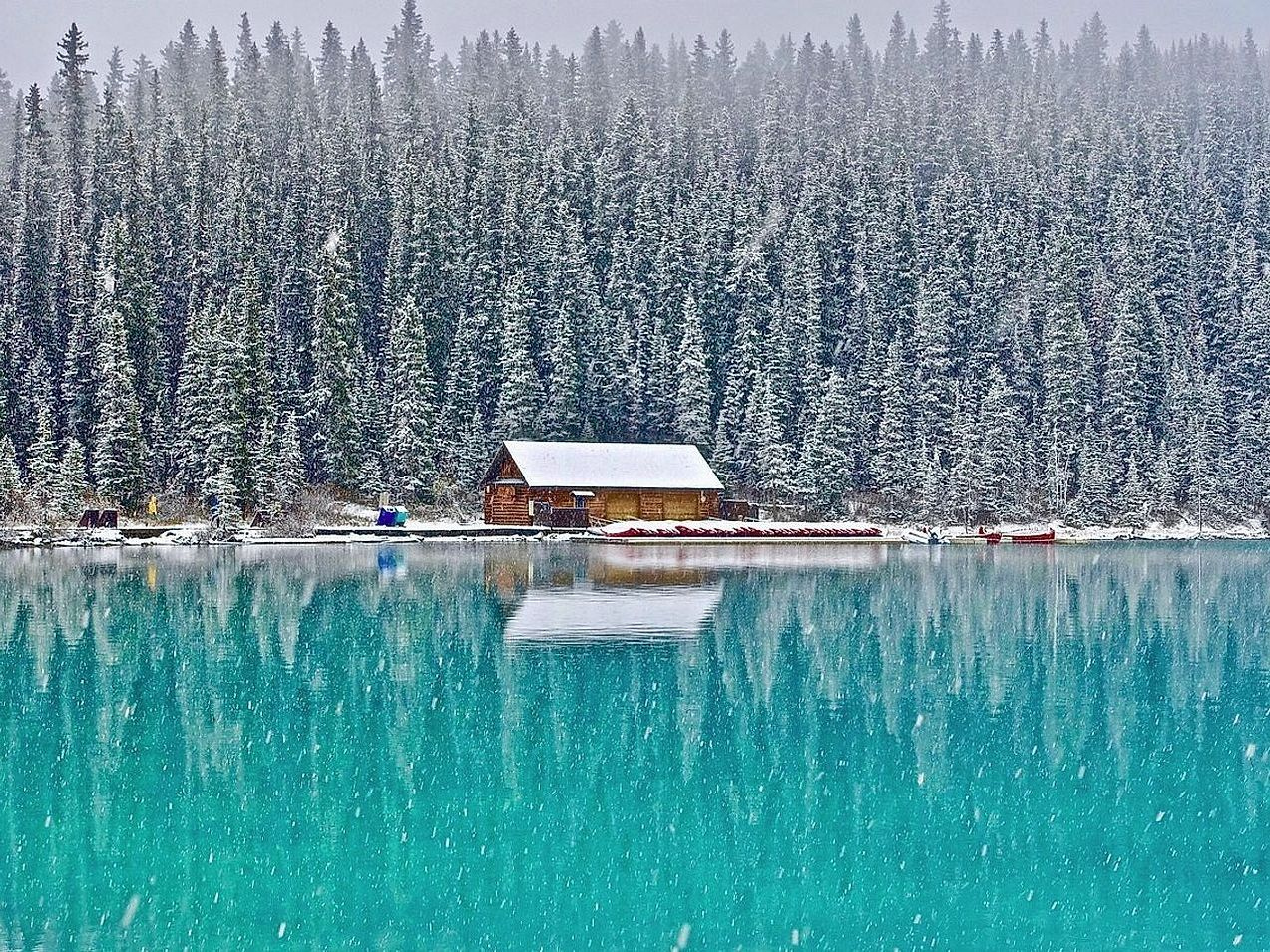 Floresta de montanha com picos nevados